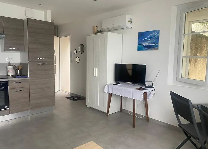 Splendide Studio Miramar Vue Mer Avec Terrasse