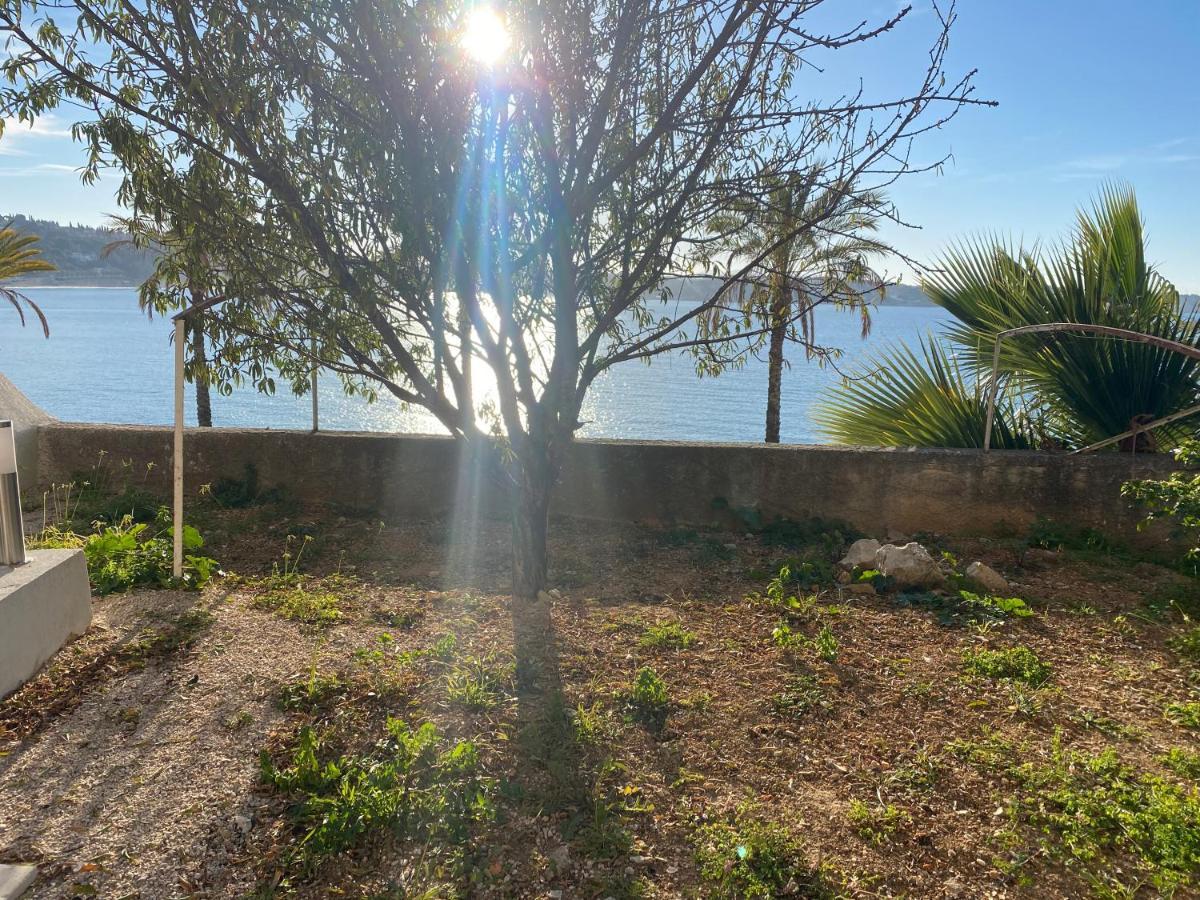 Splendide Miramar Vue Avec Terrasse * Bandol